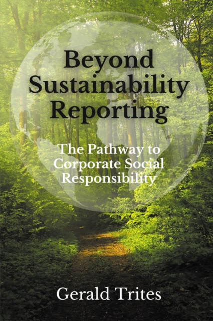 Beyond Sustainability Reporting