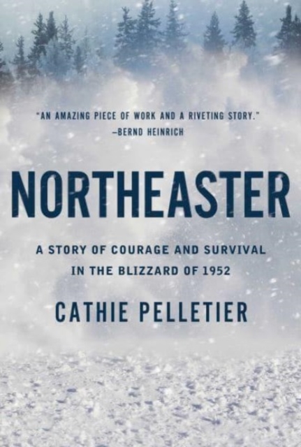 Northeaster