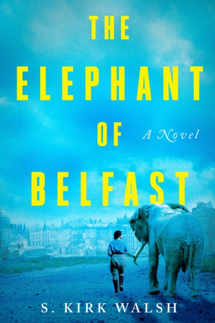 Elephant Of Belfast