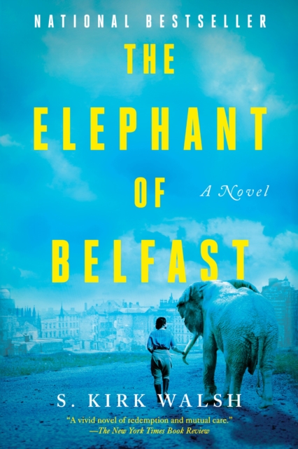 Elephant Of Belfast