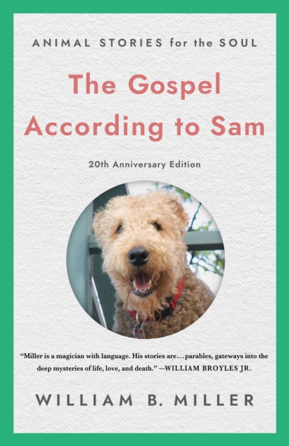 Gospel According to Sam