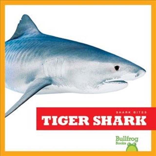 Tiger Shark