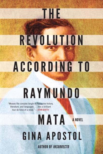 Revolution According To Raymundo Mata