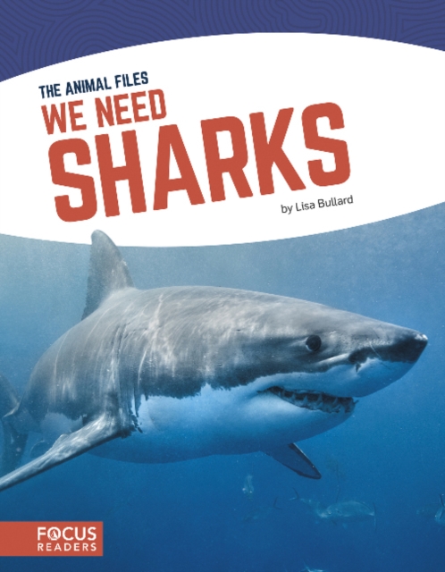 Animal Files: We Need Sharks