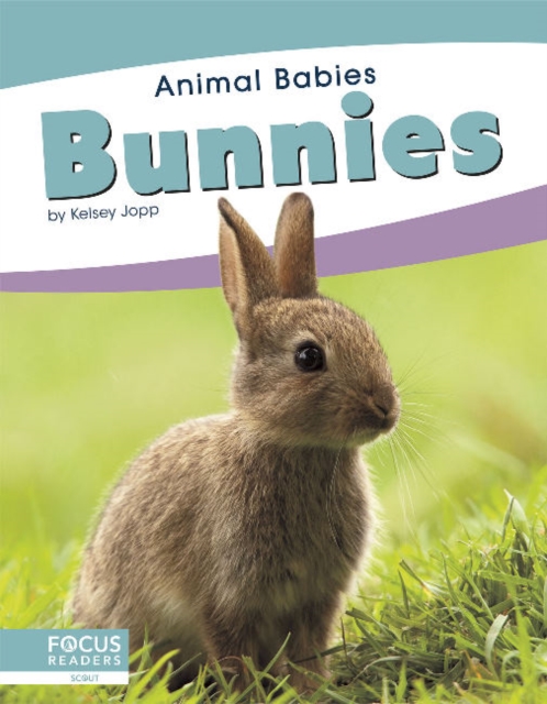 Animal Babies: Bunnies