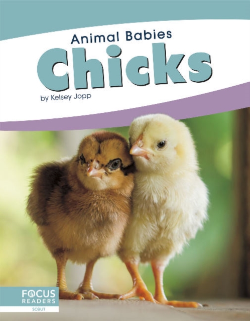 Animal Babies: Chicks