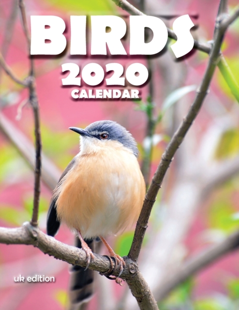 Birds 2020 Calendar (UK Edition)