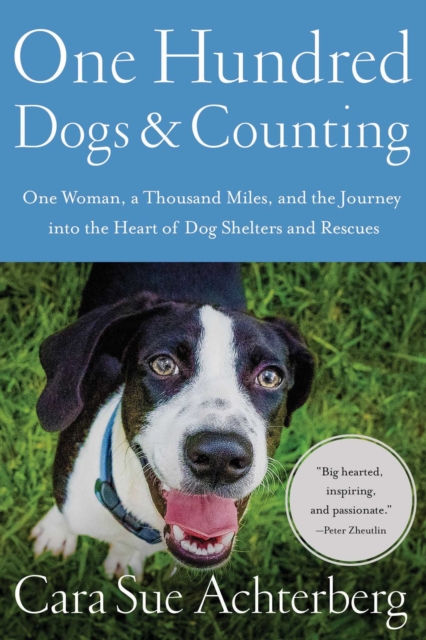 One Hundred Dogs and Counting