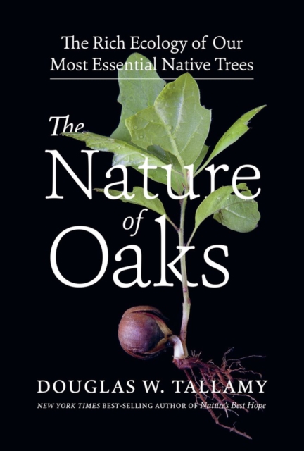 Nature of Oaks