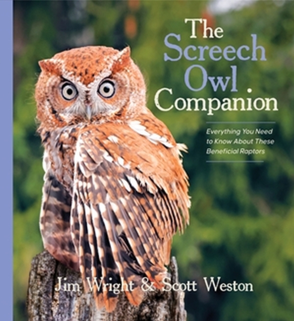 Screech Owl Companion