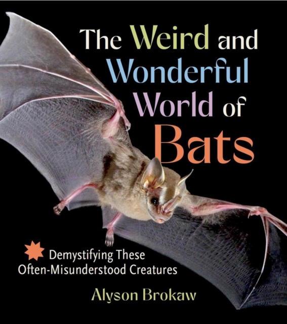 Weird and Wonderful World of Bats