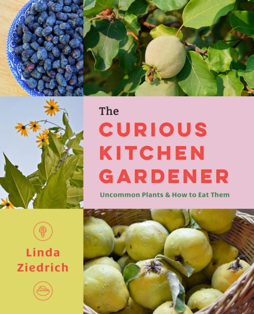 Curious Kitchen Gardener