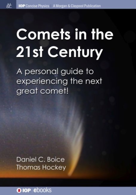 Comets in the 21st Century