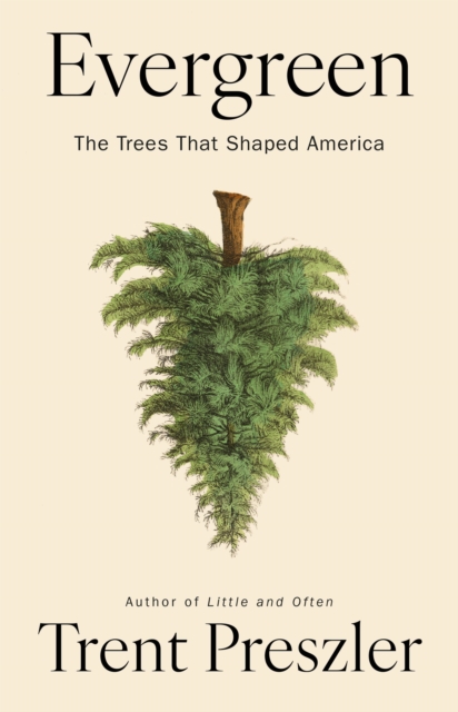 Evergreen