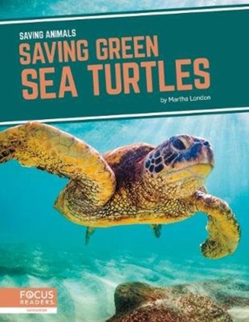 Saving Animals: Saving Green Sea Turtles