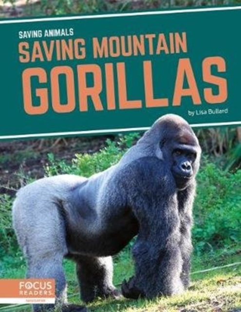 Saving Animals: Saving Mountain Gorillas