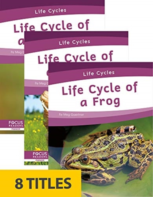 Life Cycles (Set of 8)