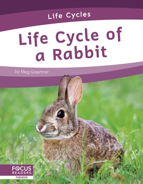 Life Cycles: Life Cycle of a Rabbit