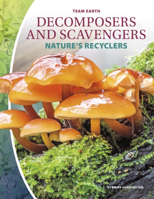 Decomposers and Scavengers