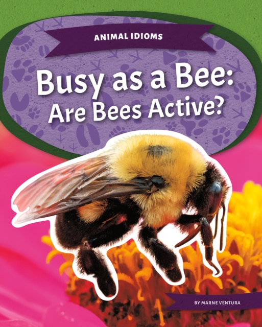 Animal Idioms: Busy as a Bee: Are Bees Active?