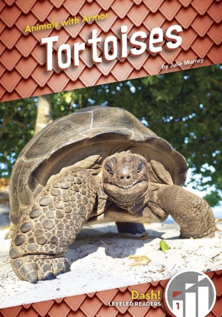 Animals with Armor: Tortoises