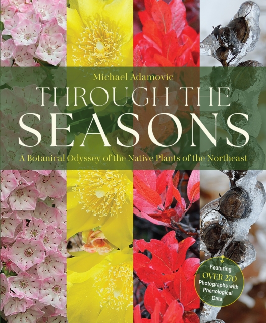 Through the Seasons
