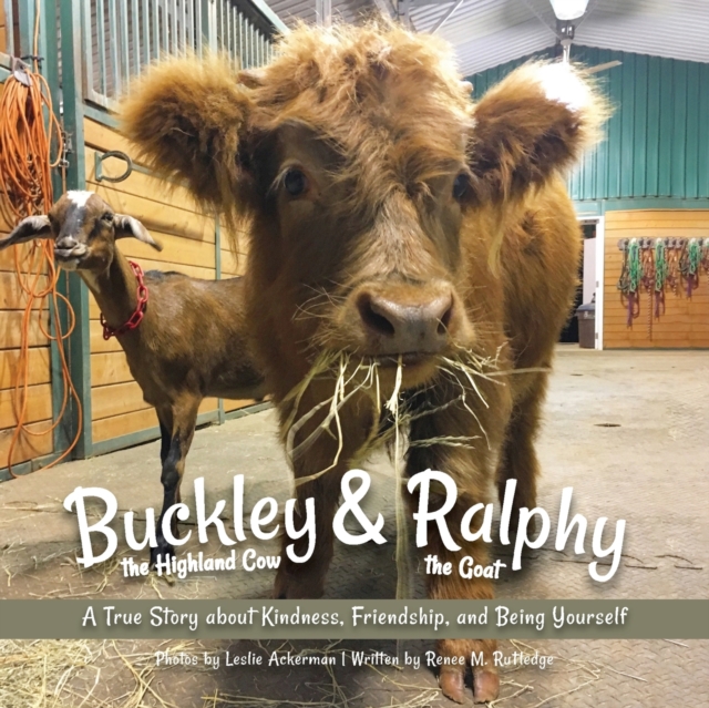 Buckley The Highland Cow And Ralphy The Goat