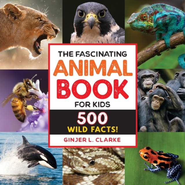 Fascinating Animal Book for Kids