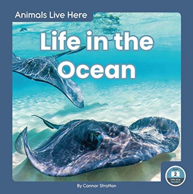 Animals Live Here: Life in the Ocean