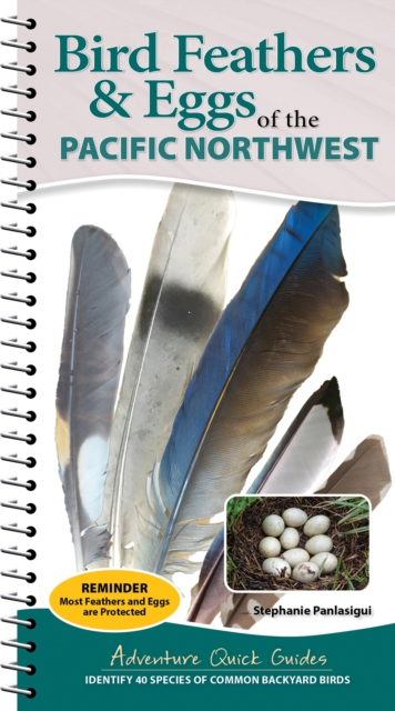 Bird Feathers & Eggs of the Northwest
