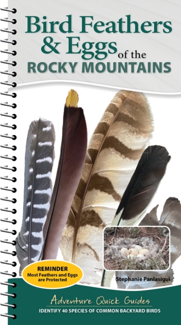 Bird Feathers & Eggs of the Rocky Mountains