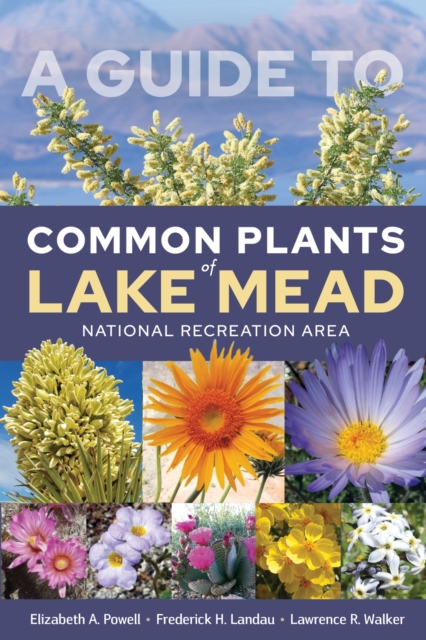 Guide to Common Plants of Lake Mead National Recreation Area