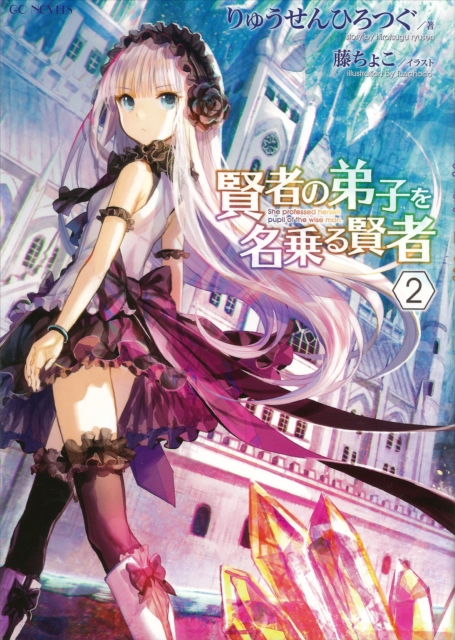 She Professed Herself Pupil of the Wise Man (Light Novel) Vol. 2