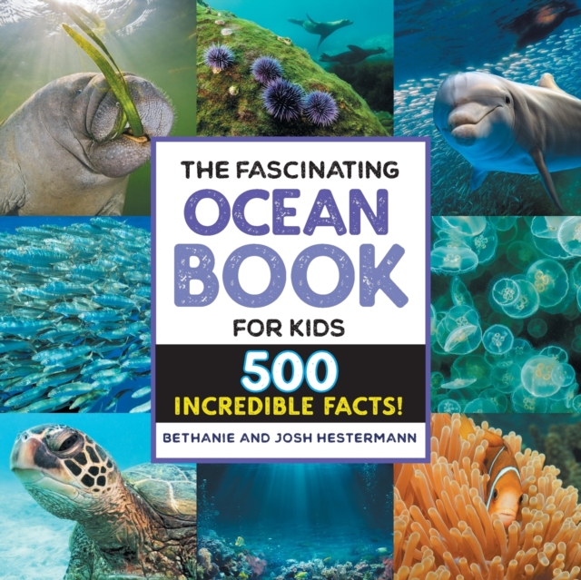 Fascinating Ocean Book for Kids