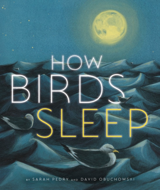 How Birds Sleep