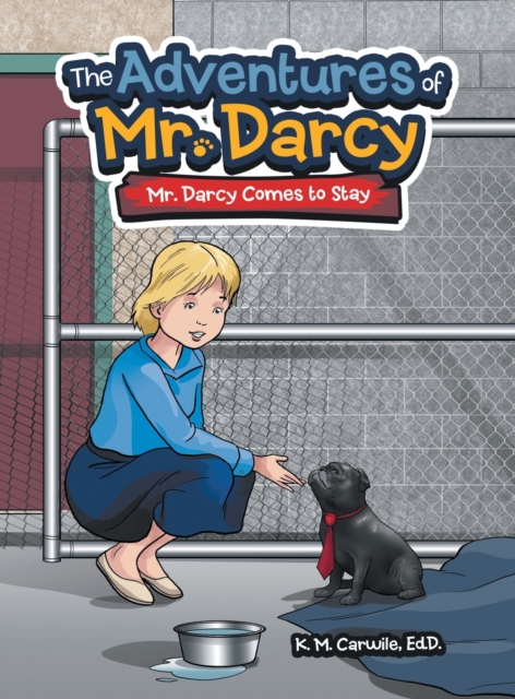 The Adventures of Mr. Darcy