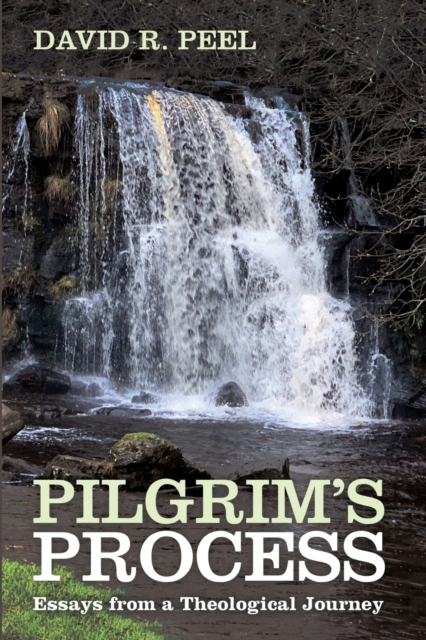 Pilgrim's Process