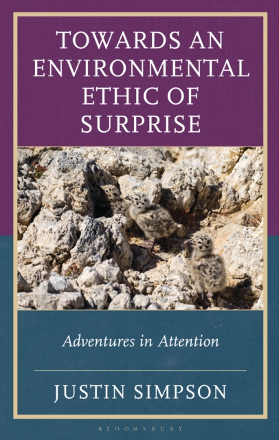Towards an Environmental Ethic of Surprise