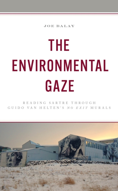 Environmental Gaze