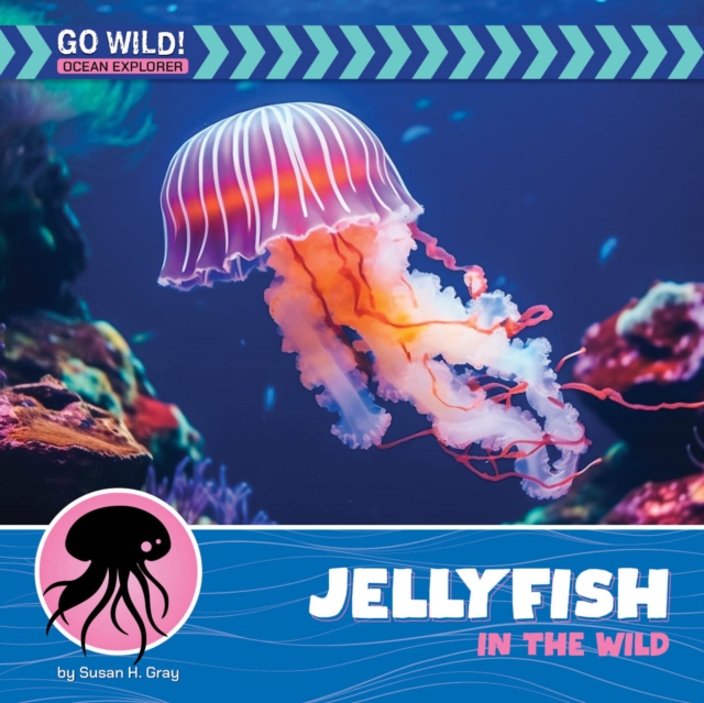Jellyfish in the Wild