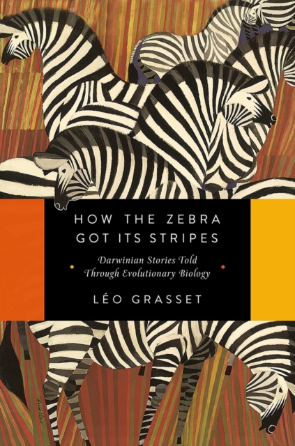 How the Zebra Got Its Stripes - Darwinian Stories Told Through Evolutionary Biology