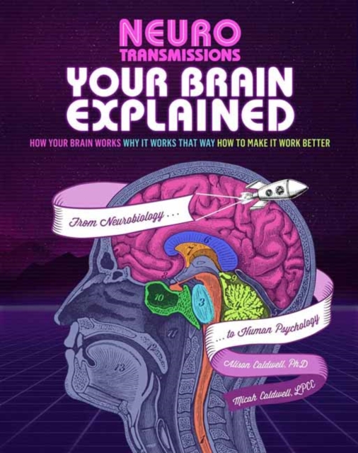 Your Brain Explained