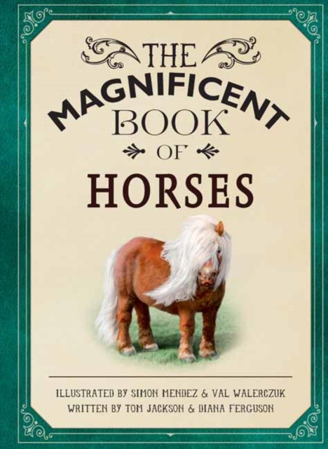 Magnificent Book of Horses