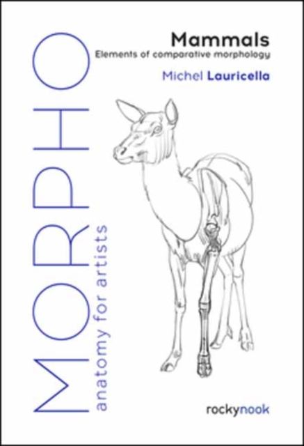 Morpho: Mammals