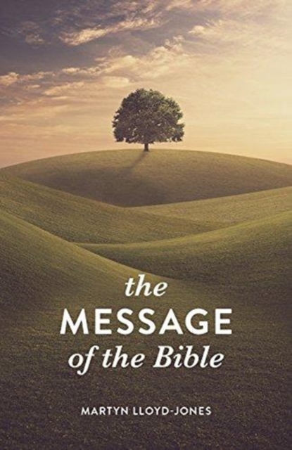 Message of the Bible (Pack of 25)