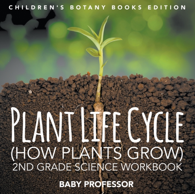 Plant Life Cycle (How Plants Grow)