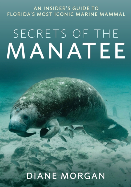Secrets of the Manatee