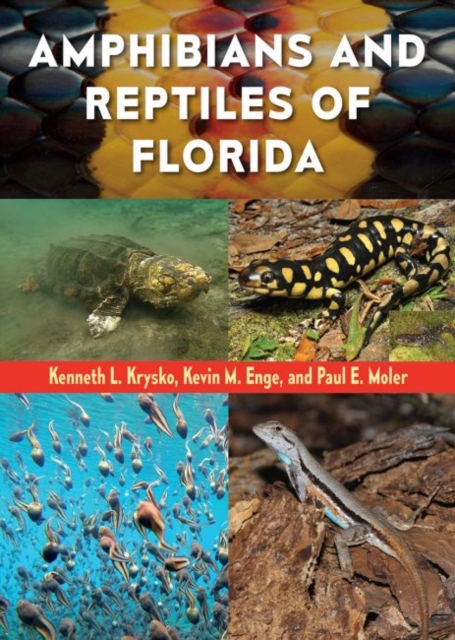Amphibians and Reptiles of Florida