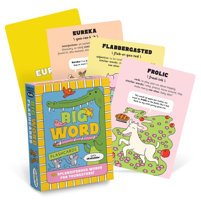 Knock Knock Kids Big Word Flashcards