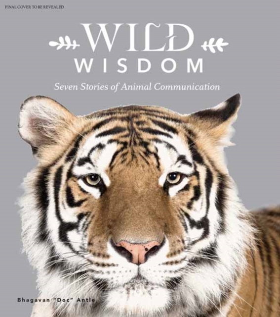 Wild Wisdom